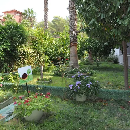 Grand Viking 4* Kemer
