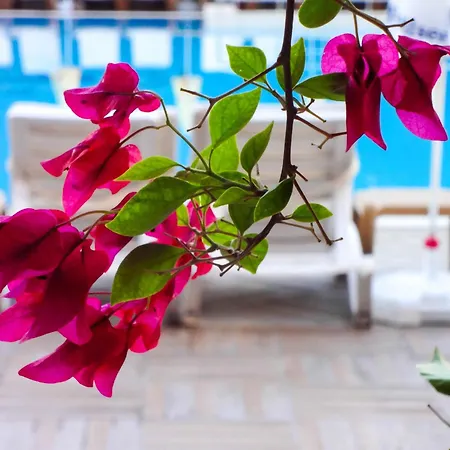 Hotel Grand Viking 4*